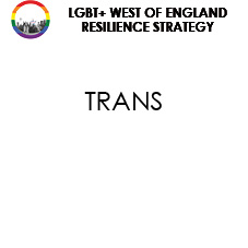 TRANS THEME ICON